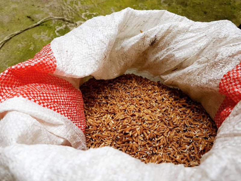 Levedura de arroz vermelho