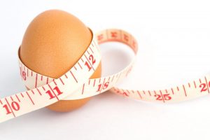Dieta do ovo