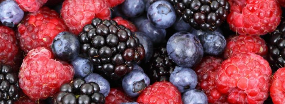 benefícios dos frutos vermelhos para a saúde