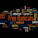 radicais livres