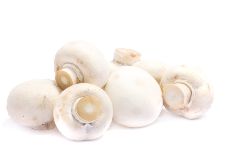 Cogumelos